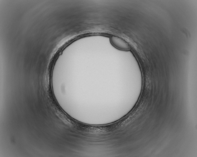 X0000113101270200909251024