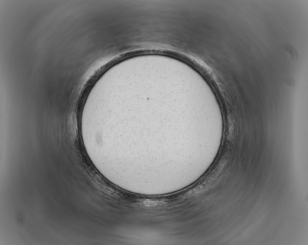 X0000113101271200909251024