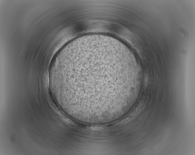 X0000113101274200909251024
