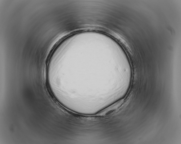 X0000113101275200909251024