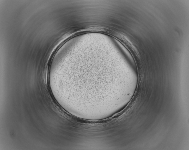 X0000113101276200909251024