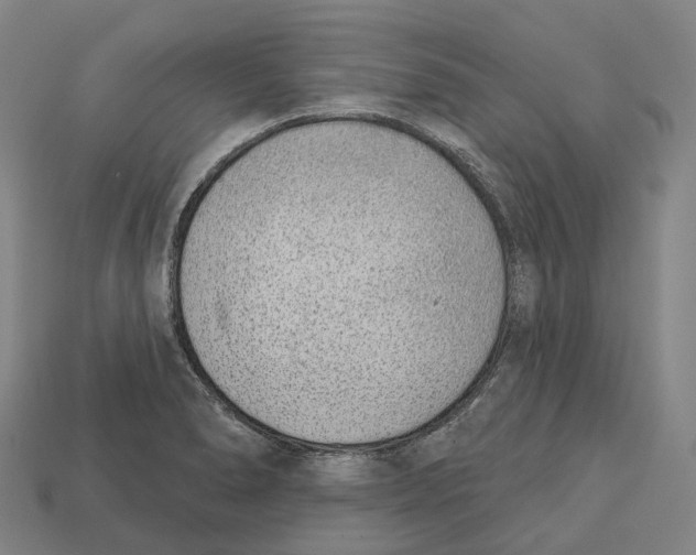 X0000113101278200909251024