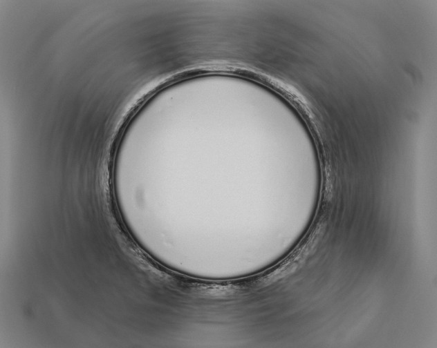 X0000113101279200909251024