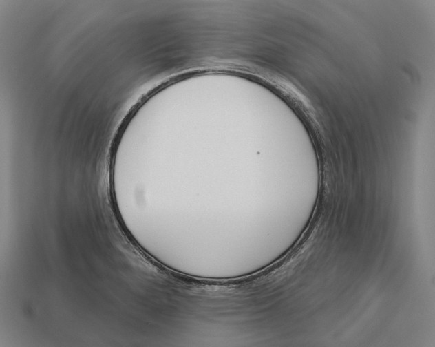 X0000113101280200909251024
