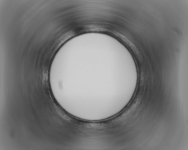 X0000113101281200909251024