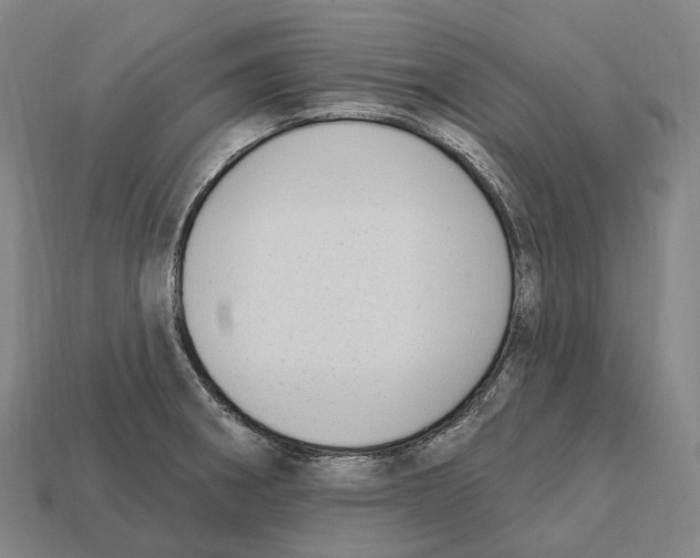 X0000113101282200909251024