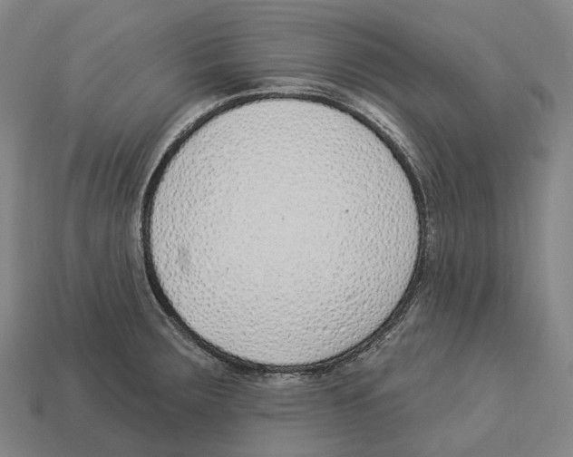 X0000113101283200909251024