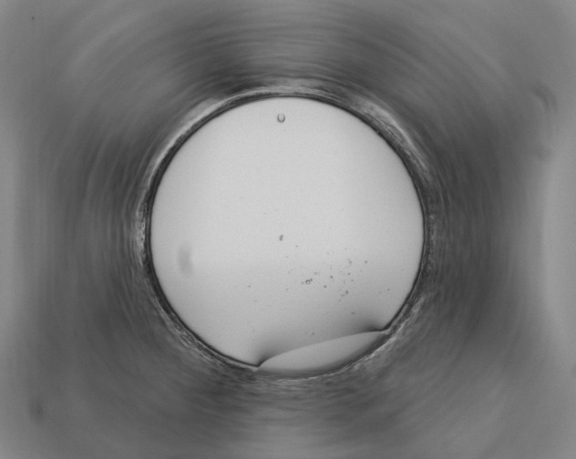 X0000113101284200909251024