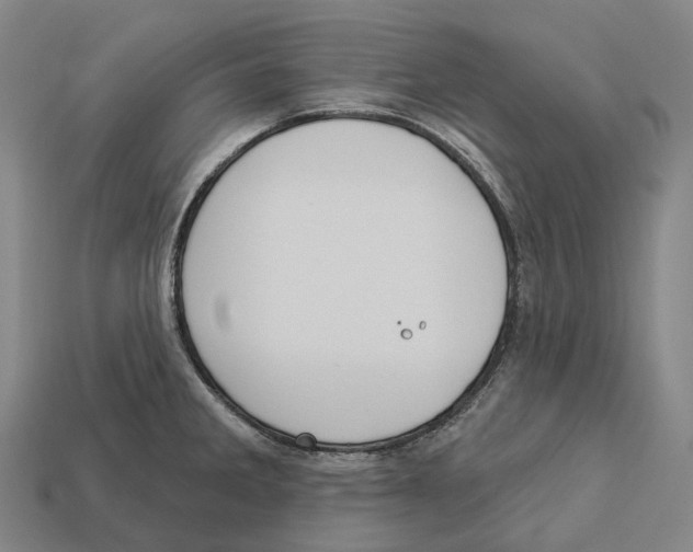 X0000113101285200909251024