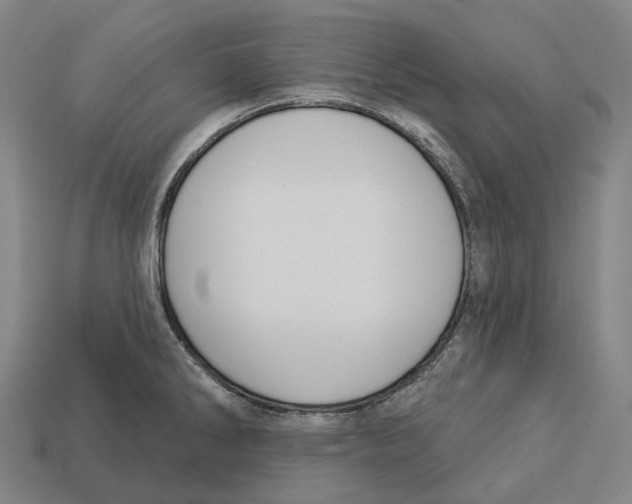 X0000113101286200909251024
