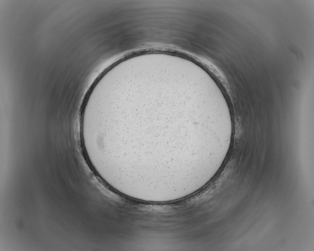 X0000113101287200909251024