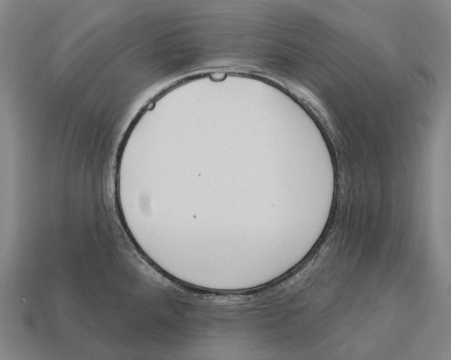 X0000113101288200909251024