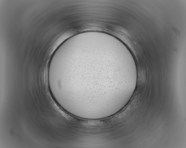 X0000113101290200909251024