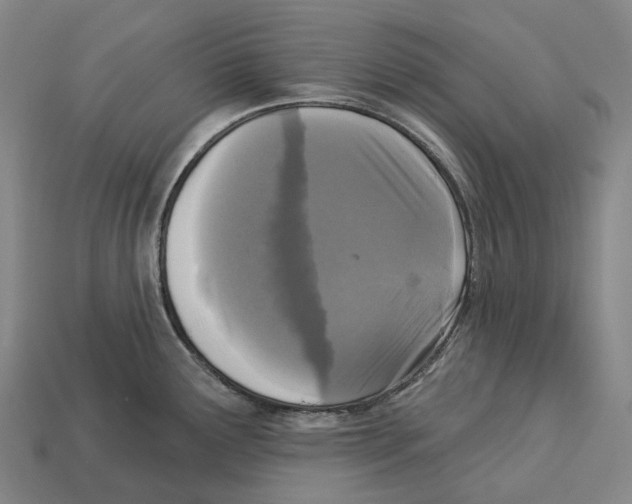 X0000113101291200909251024