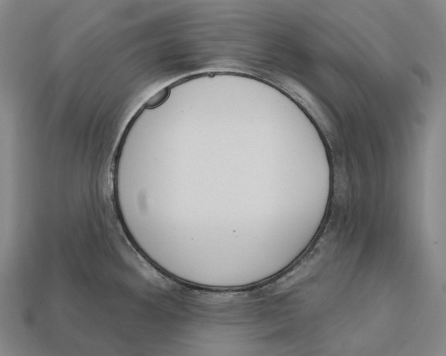 X0000113101292200909251024