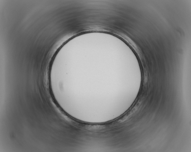 X0000113101293200909251024