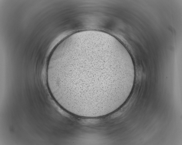 X0000113101294200909251024