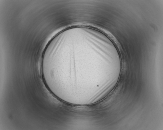 X0000113101295200909251024