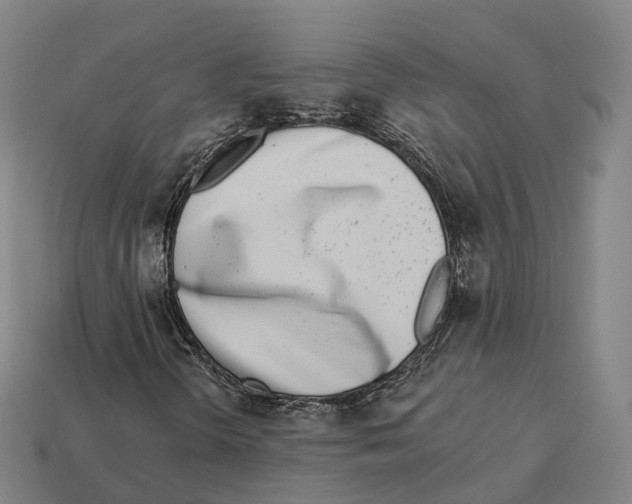 X0000113101298200909251023