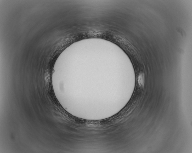 X0000113101299200909251023