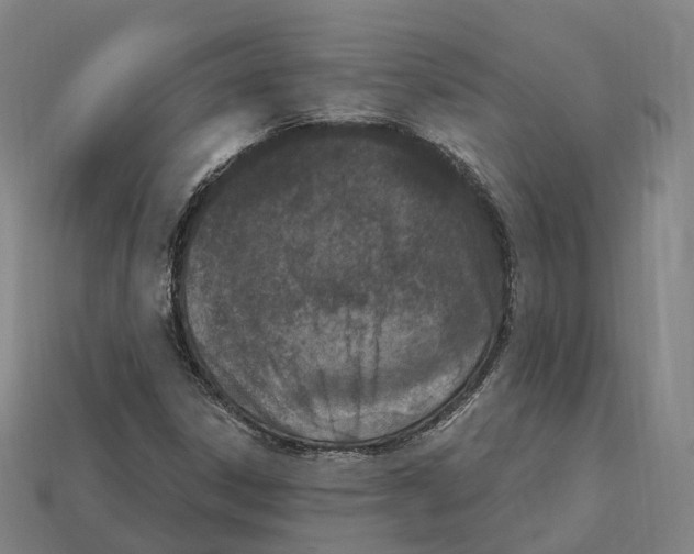 X0000113101306200909251023