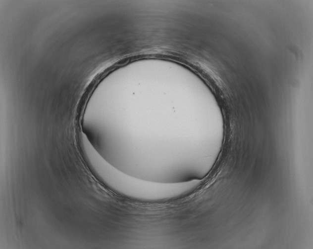 X0000113101308200909251023