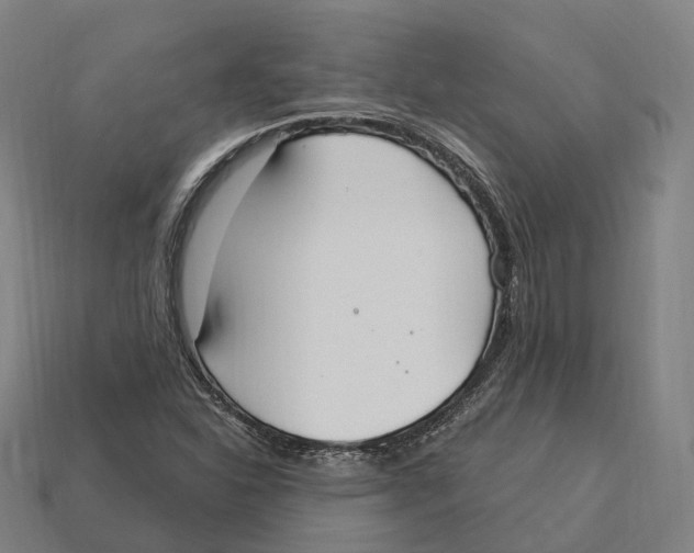 X0000113101310200909251023