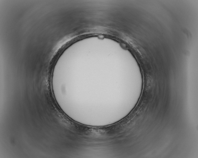 X0000113101312200909251023