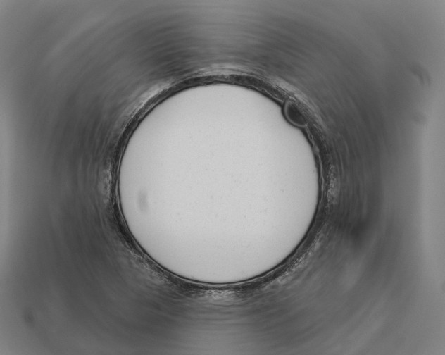 X0000113101313200909251023