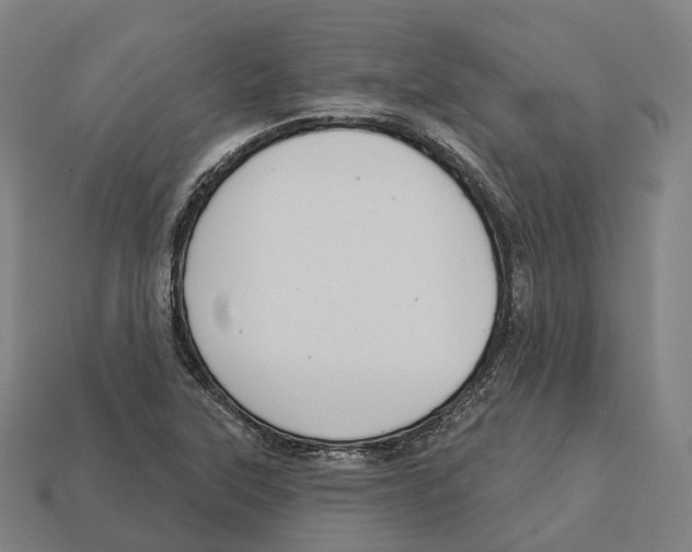 X0000113101315200909251023