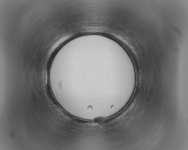 X0000113101317200909251023
