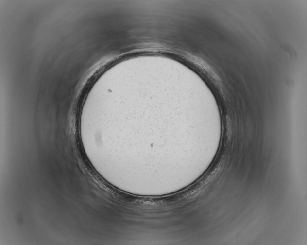 X0000113101318200909251023