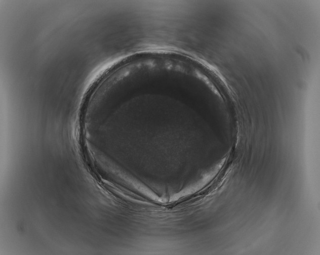X0000113101319200909251023