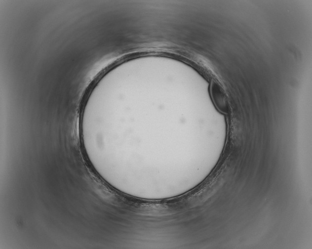 X0000113101320200909251023