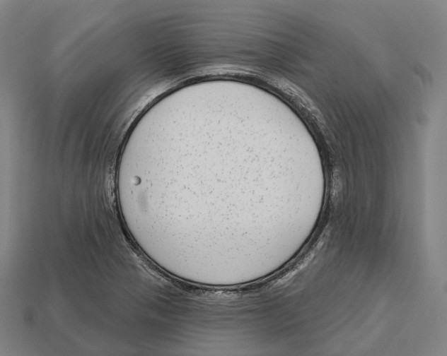 X0000113101321200909251023
