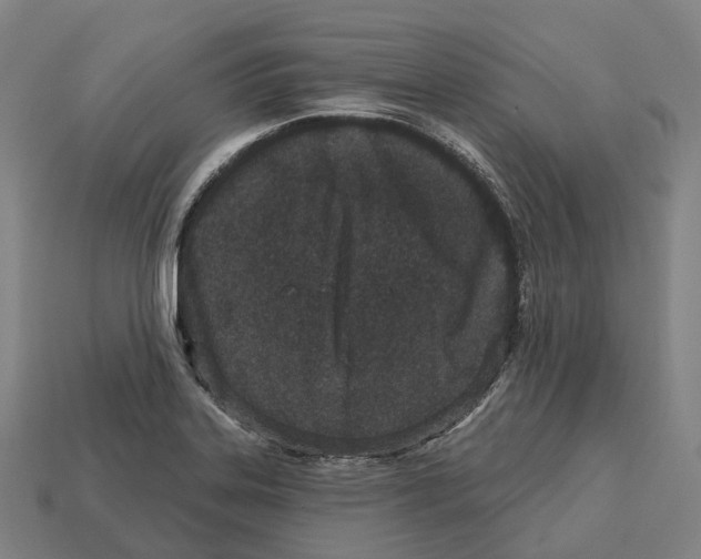 X0000113101323200909251023