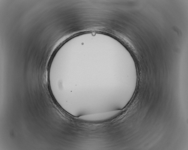 X0000113101324200909251023