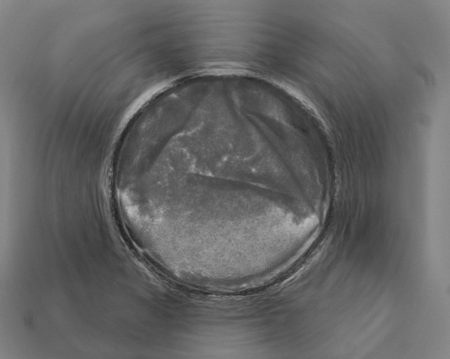 X0000113101325200909251023