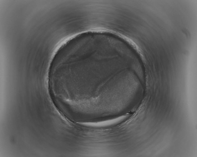 X0000113101327200909251023