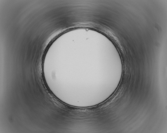 X0000113101328200909251023