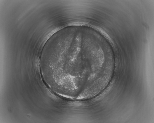 X0000113101329200909251023
