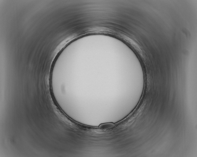 X0000113101330200909251023
