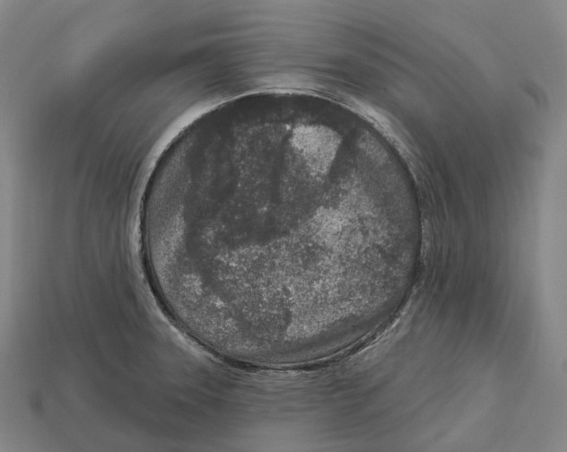 X0000113101331200909251023