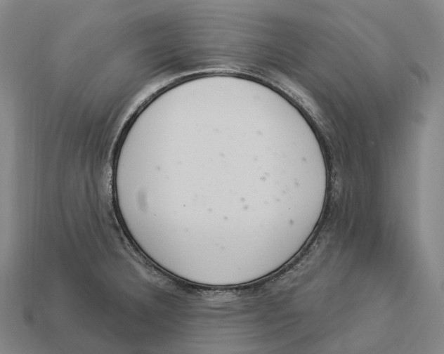 X0000113101332200909251023