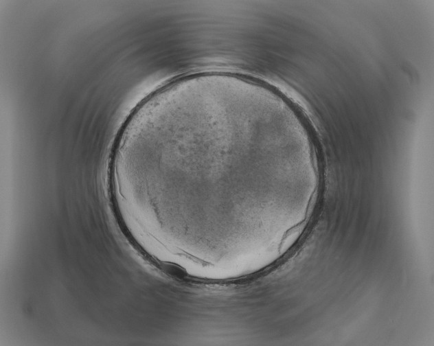 X0000113101333200909251023