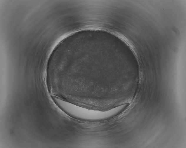 X0000113101334200909251023