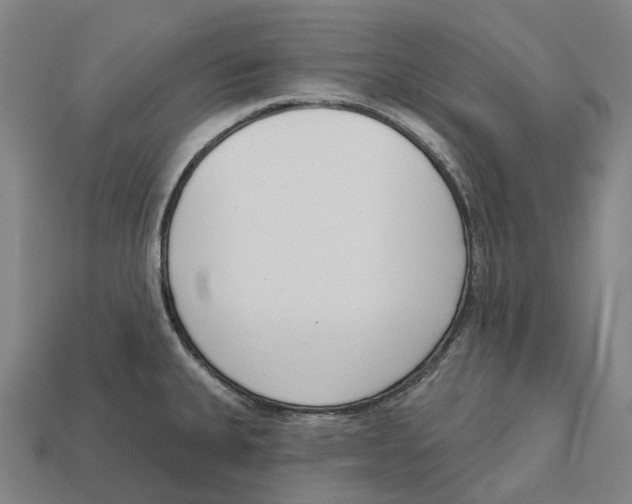 X0000113101335200909251023