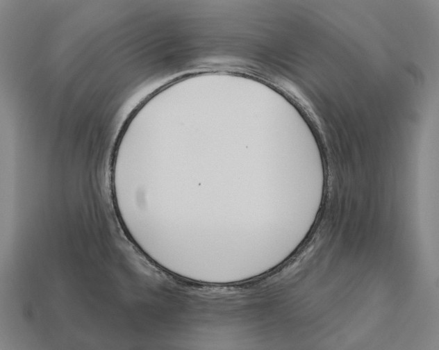 X0000113101336200909251023