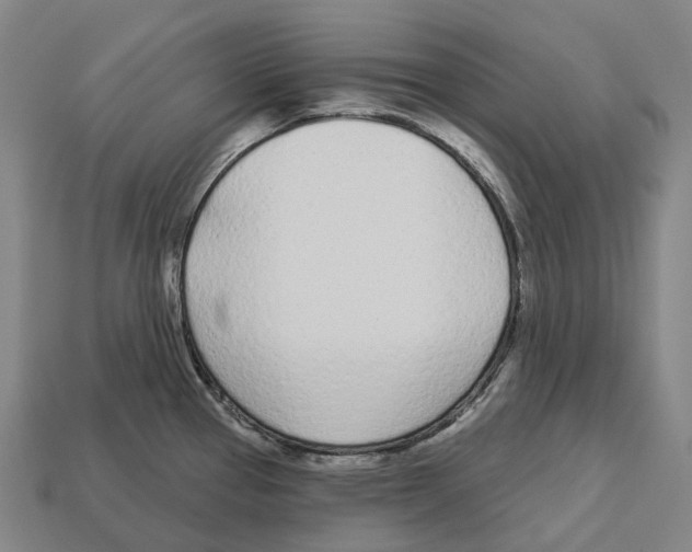 X0000113101337200909251023