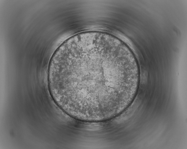 X0000113101338200909251023